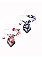 EAZ447 アスコットスカーフの関連写真0