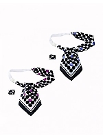 EAZ448 アスコットスカーフの関連写真0