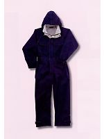 3291 レインツナギの関連写真0