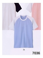 7036 Tシャツの関連写真0