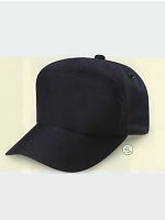 BV2550 丸アポロ型(ブレバノ)の関連写真0