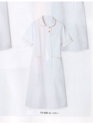 MONTBLANC (住商モンブラン),73-1830,半袖ナースワンピースの写真は2021最新カタログ229ページに掲載されています。