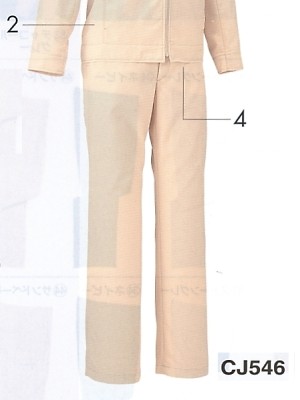 NAKATUKA CALJAC,CJ546,レディスパンツの写真は2024最新カタログ88ページに掲載されています。