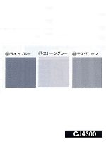 CJ4300 長袖シャツの関連写真1