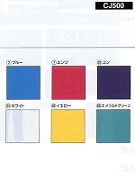 CJ500 カラーブルゾンの関連写真1