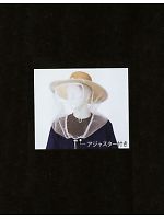 77500 レンズ付防虫ネットの関連写真0