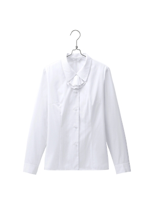 Pieds ピエ(アイトスの事務服),HCB2431,長袖ブラウスの写真です