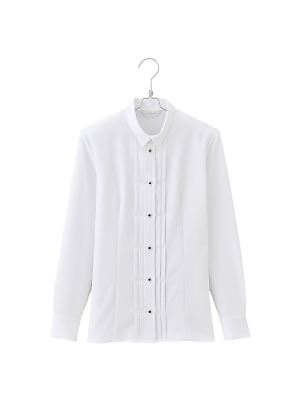 Pieds ピエ(アイトスの事務服),HCB2981,長袖ブラウスの写真です