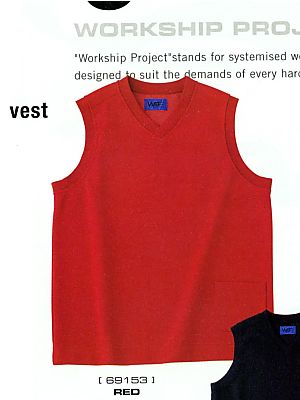 セロリー Selery ifory SKITTO,69153,ベスト(14廃番)の写真です