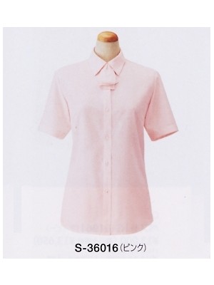 セロリー Selery ifory SKITTO,S36016,半袖ブラウス(廃番)の写真です