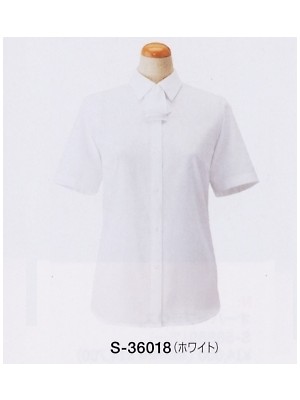 セロリー Selery ifory SKITTO,S36018,半袖ブラウス(廃番)の写真です