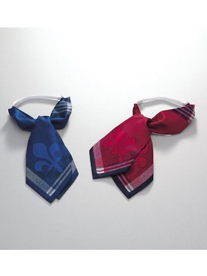 セロリー Selery ifory SKITTO,S98261,リボンの写真です