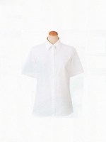 S35908 半袖ブラウス(16廃番)の関連写真0