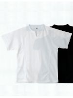 1026 ショートTシャツの関連写真0