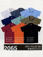2065 半袖ポロシャツの関連写真1