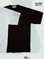 6120 半袖Tシャツ(16廃番)の関連写真5