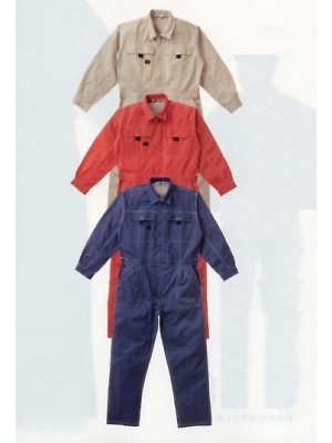 山田辰 DICKIES WORK　AUTO-BI THEMAN,1-3600,バイオツヅキ服(廃番)(ツナギ)の写真です