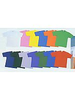 NM301 Tシャツの関連写真1