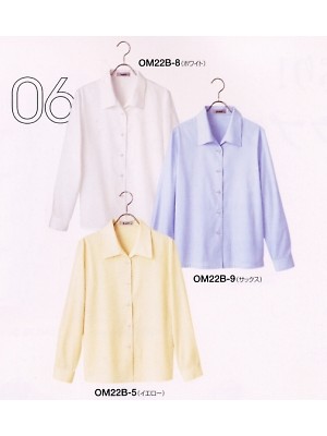 神馬本店 MIKATA SelectStage（ミカタ セレクトステージ）,OM22B,長袖ブラウス(12廃番)の写真です