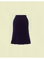 E1051 スカート(16廃番)の関連写真0