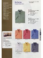 SA4010 半袖レディースギンガムシャツのカタログページ(altc2009n066)