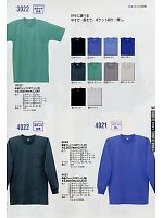 4021 長袖Tシャツのカタログページ(altc2009n160)