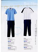 CT99 Tシャツ(11廃番)のカタログページ(asaw2008n015)