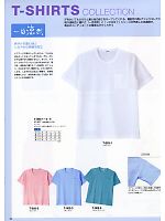 T003-3 Tシャツ(サックス)のカタログページ(asaw2009n032)