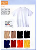 T922 Tシャツ(ブルー)のカタログページ(asaw2009n033)