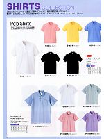 PS100K 厚地ポロシャツのカタログページ(asaw2009n034)