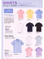 PS100K 厚地ポロシャツのカタログページ(asaw2010n032)