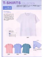 T003-3 Tシャツ(サックス)のカタログページ(asaw2010n034)