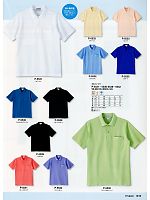 サーヴォ SerVo [サンペックス],P5531 ポロシャツ(12廃番)の写真は2011最新カタログ15ページに掲載されています。