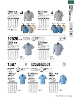 E2520 半袖シャツのカタログページ(ascw2024s094)