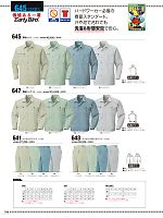 645 長袖シャツのカタログページ(bigb2014s106)