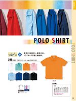246 半袖ポロシャツ(15廃番)のカタログページ(bigb2014s123)