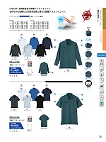 EBA6556 半袖トリコットシャツのカタログページ(bigb2024s121)