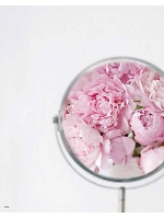 ユニフォーム bosu2026n206