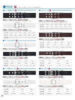 S646 ベルトのカタログページ(bstg2024n156)
