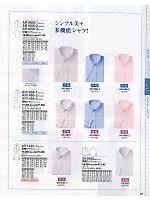 SF2950 長袖シャツのカタログページ(ckmc2012n009)