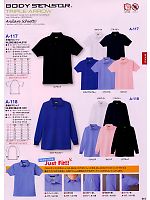 A118 長袖ポロシャツ(13廃番)のカタログページ(cocc2009s015)