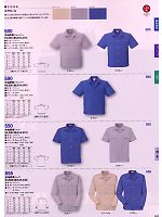 550 半袖シャツ(13廃番)のカタログページ(cocc2009s161)