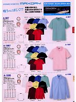 A887 半袖Tシャツ(13廃番)のカタログページ(cocc2009s181)