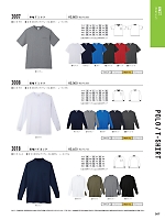 3007 半袖Tシャツのカタログページ(cocc2023w267)