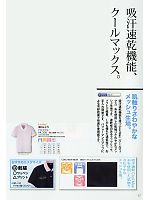 FN110 ポロシャツ男性用のカタログページ(fora2011n017)