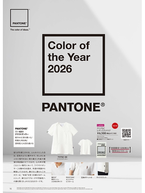 ＦＯＬＫ（フォーク）　ＮＵＯＶＯ(ヌーヴォ),7117SC レディススクラブの写真は2026最新オンラインカタログ16ページに掲載されています。