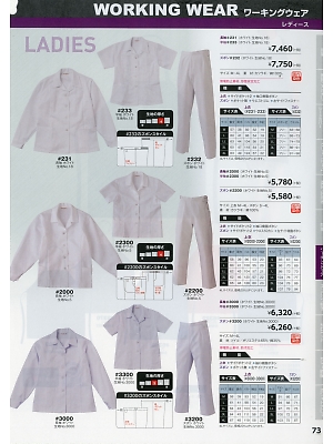 日の丸繊維 ＳｕｎＤｉｓｋ,2300 レディース半袖上衣の写真は2018最新オンラインカタログ73ページに掲載されています。