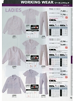 3000 レディース長袖上衣のカタログページ(hins2018n073)