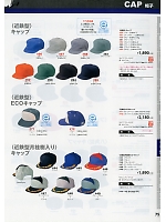 46 刺繍入キャップのカタログページ(hins2018n075)