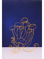 ユニフォーム ists2009n022